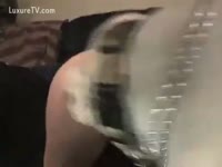 Zoophilia Porn Film - Fat granny gazoo screwed hard by dog